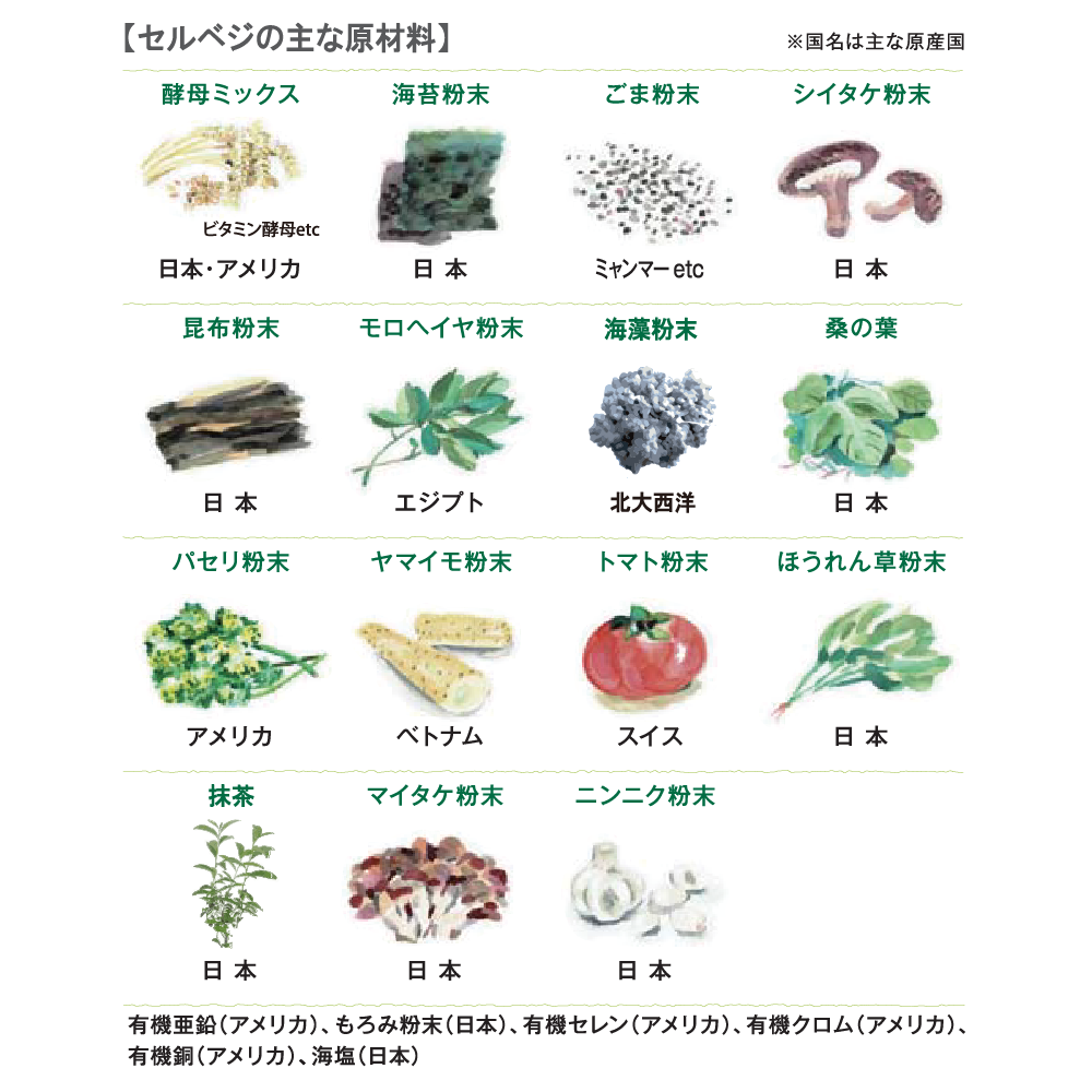 青汁とは違うセルベジ(オールインワン植物栄養素)30包/箱
